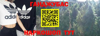 прущие грибы Севастополь